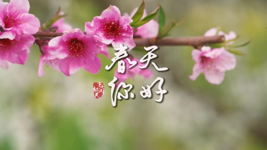 你好，韶關(guān)